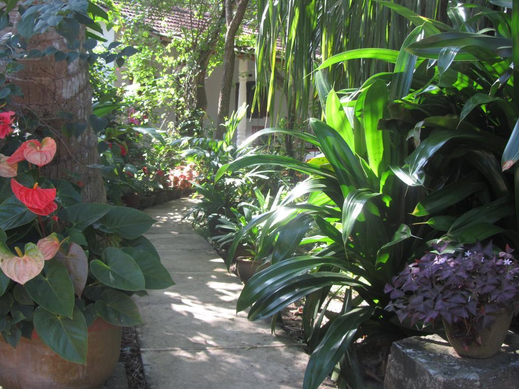 Peacock Land Hotel Tangalle Ngoại thất bức ảnh