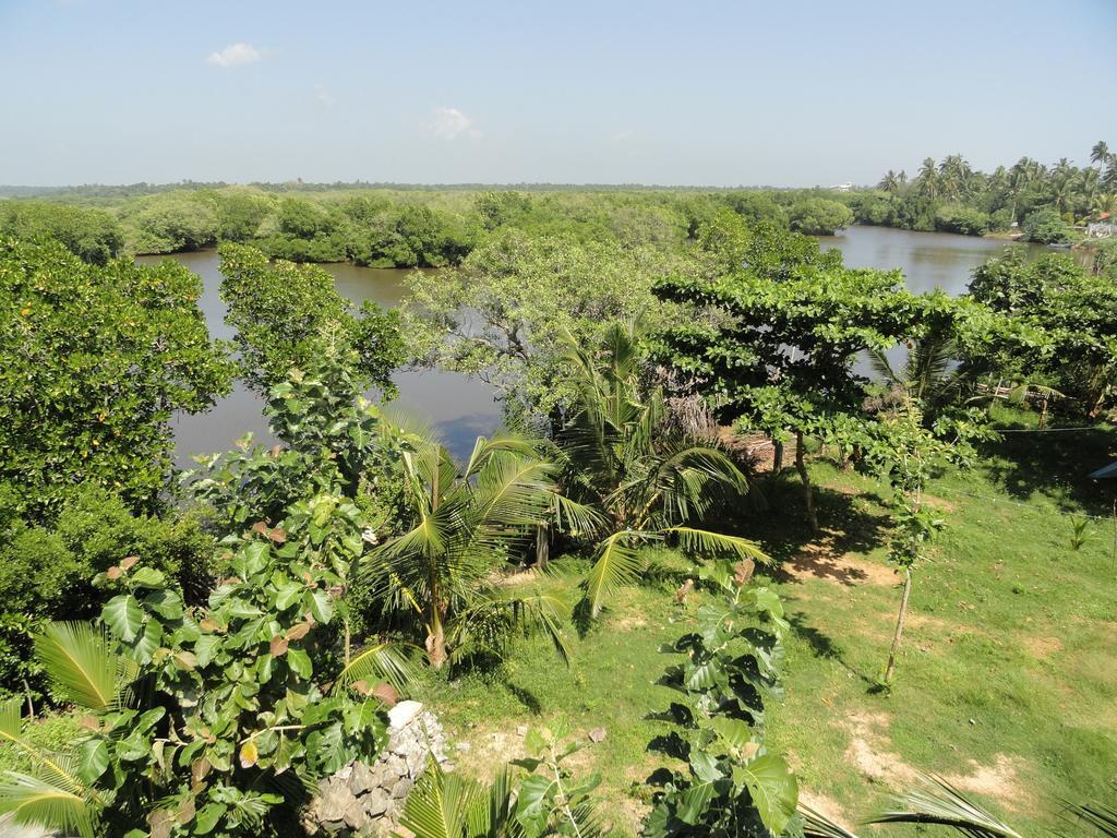 Peacock Land Hotel Tangalle Ngoại thất bức ảnh